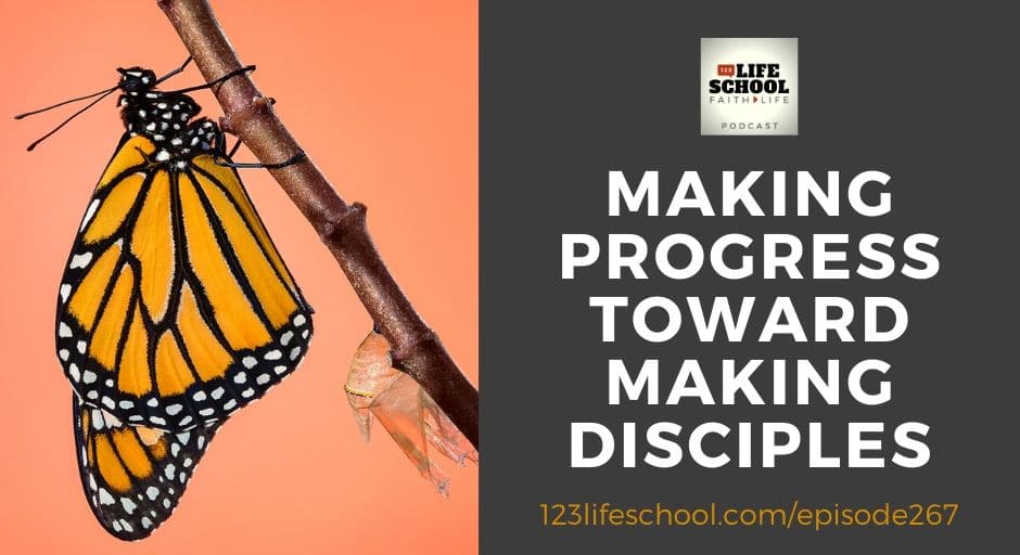 progress toward making disciples