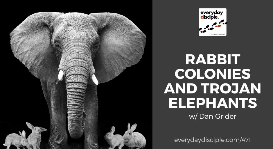 Rabbit Colonies and Trojan Elephants w/ Dan Grider